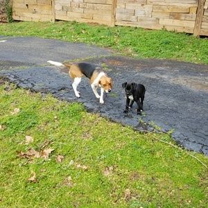 Meet your Posher, Lee